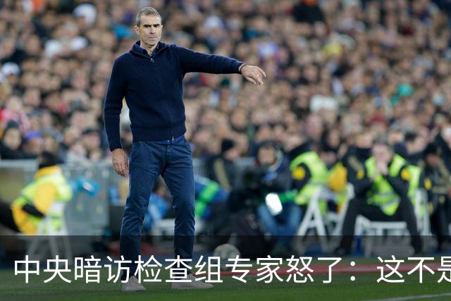 中央暗访检查组专家怒了：这不是开玩笑吗？